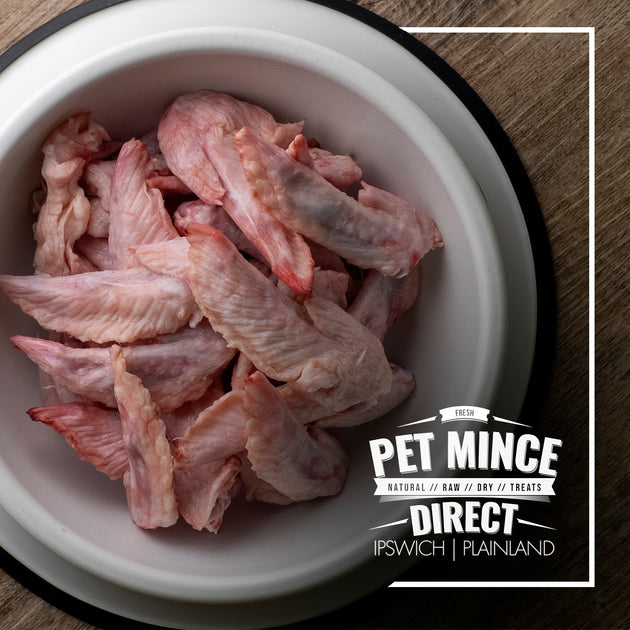 Can you feed dogs raw chicken wings best sale