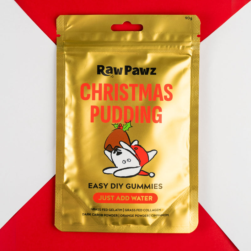 RAW PAWZ CHRISTMAS PUDDING DIY GUMMIES