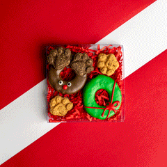 CHRISTMAS DOG TREAT GIFT BOX - REINDEER CHRISTMAS COOKIE 4PCE