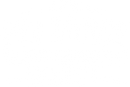 Pet Mince Direct