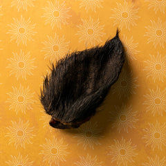 WILD BOAR EAR WITH FUR