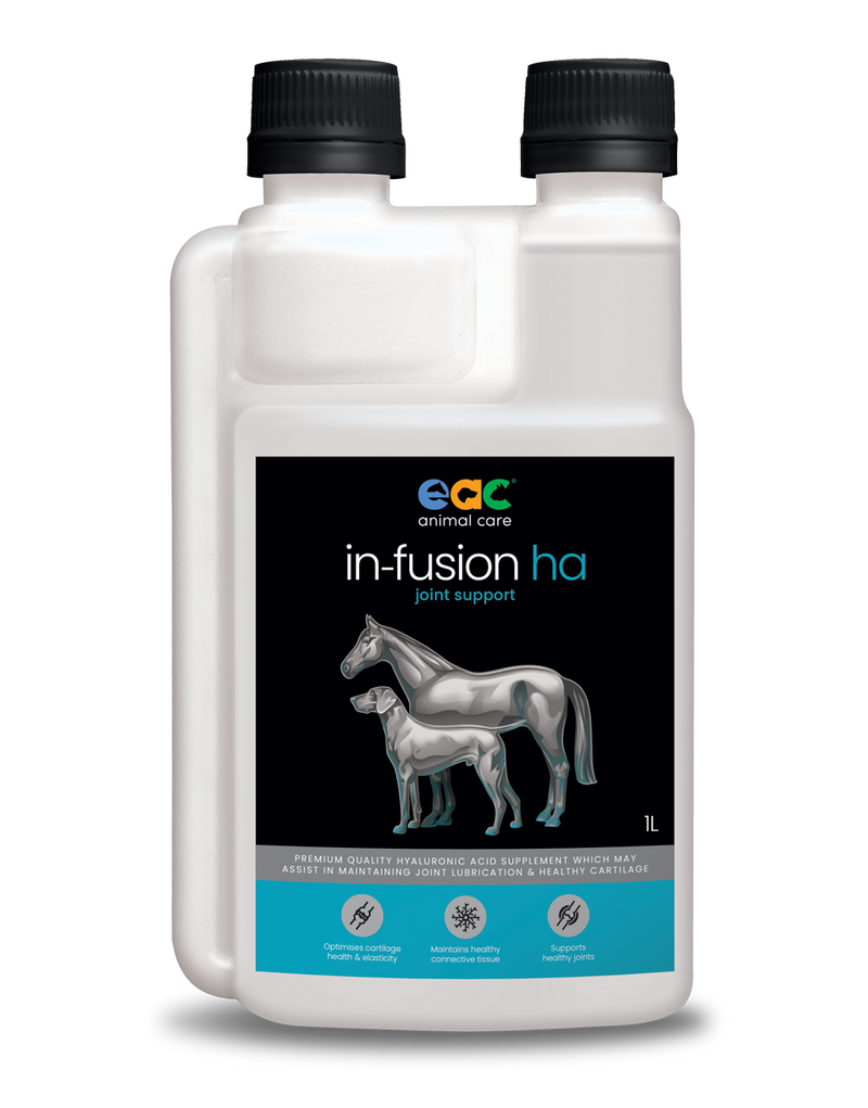 IN-FUSION HA - HYALURONIC ACID - JOINT SUPPLEMENT